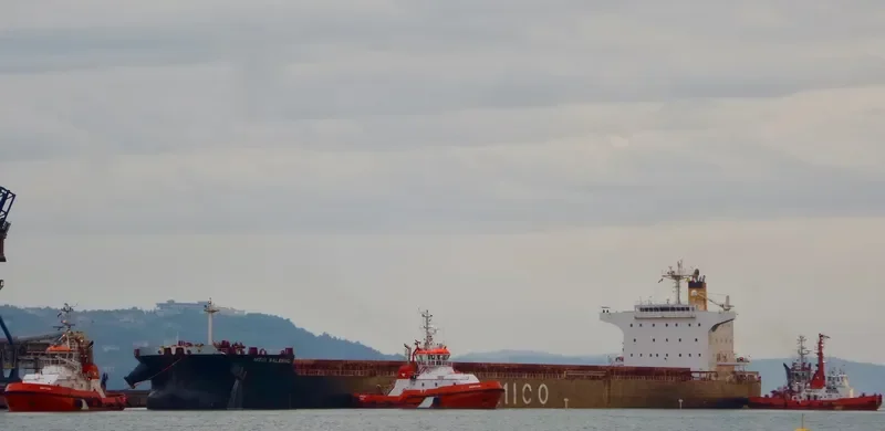 ASL MOON Bulk Carrier IMO 9389239 photo 4
