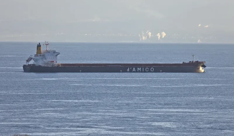 ASL MOON Bulk Carrier IMO 9389239 photo 9