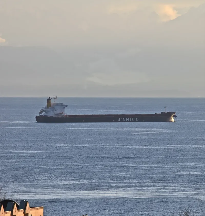 ASL MOON Bulk Carrier IMO 9389239 photo 10