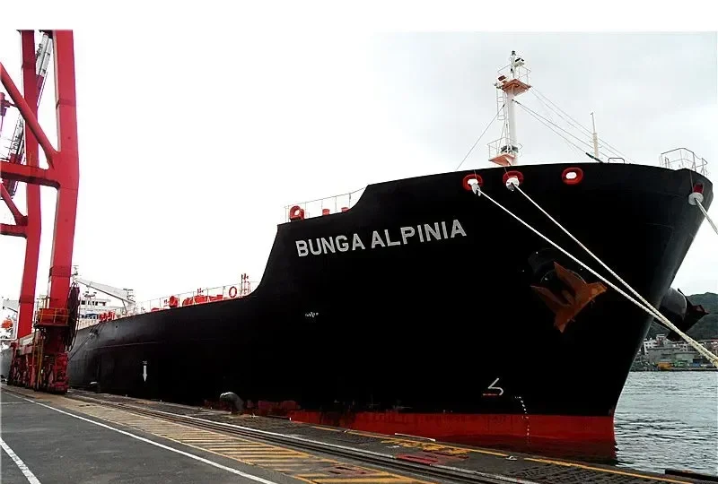 BUNGA ALPINIA Tanker IMO 9389538 photo 4