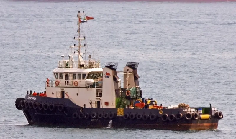SEA SPARROW General Cargo IMO 9389552 photo 2