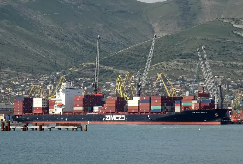 ZIM SAO PAOLO Container Ship IMO 9389681 photo 4