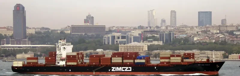 ZIM SAO PAOLO Container Ship IMO 9389681 photo 8