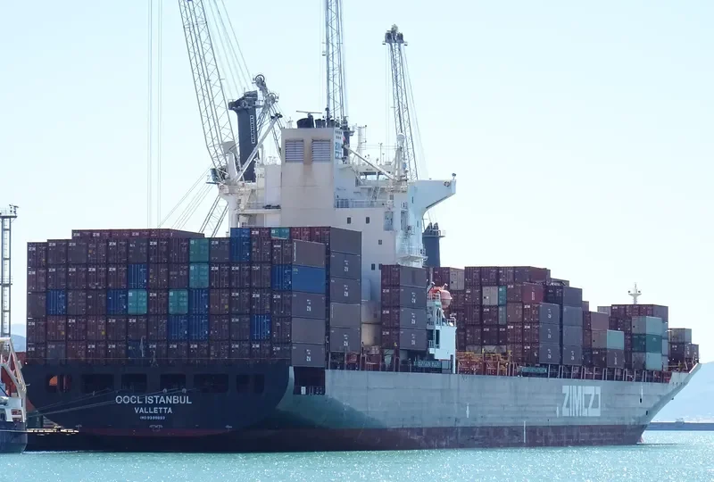 ZIM KINGSTON Container Ship IMO 9389693 photo 3