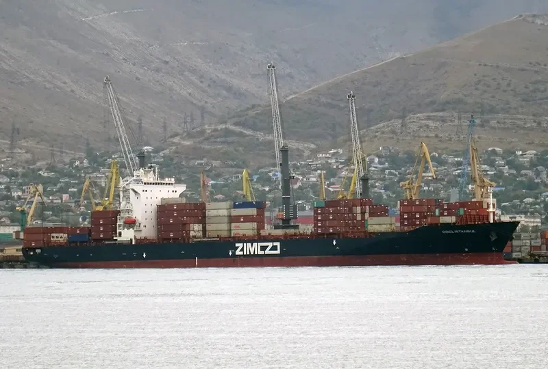 ZIM KINGSTON Container Ship IMO 9389693 photo 6