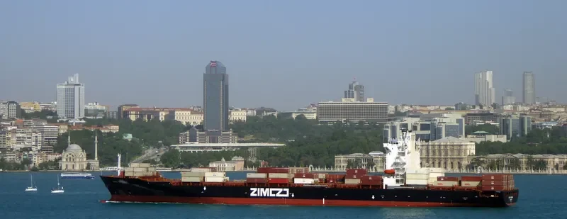 ZIM KINGSTON Container Ship IMO 9389693 photo 7