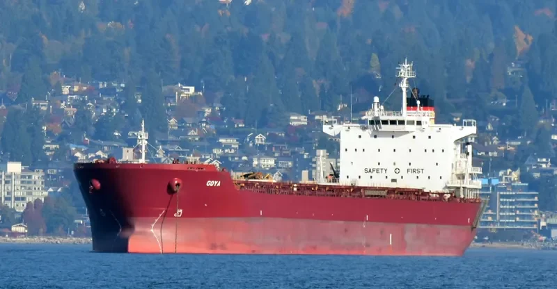 GOYA Bulk Carrier IMO 9389825 photo 2