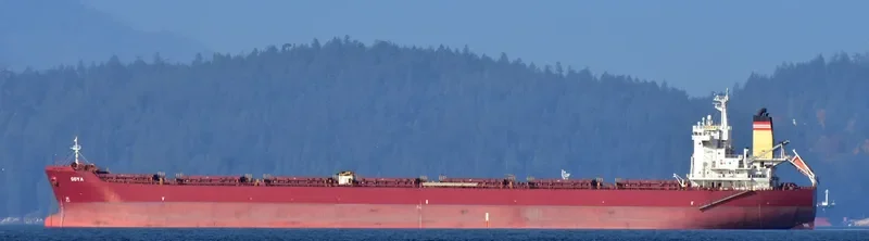 GOYA Bulk Carrier IMO 9389825 photo 4