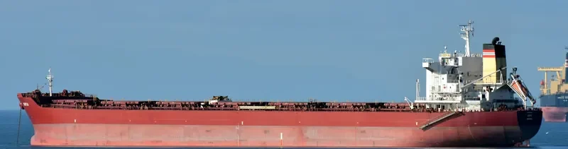 GOYA Bulk Carrier IMO 9389825 photo 5