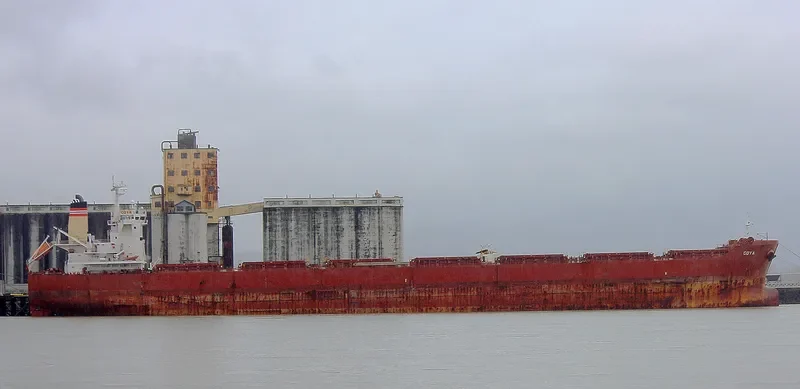 GOYA Bulk Carrier IMO 9389825 photo 8