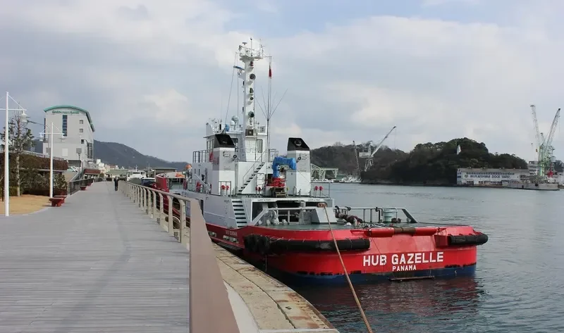 HUB GAZELLE General Cargo IMO 9390446 photo 3