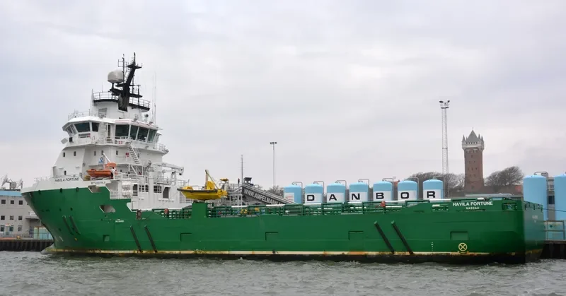 HAVILA FORTUNE General Cargo IMO 9390551 photo 4
