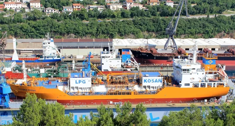 VICTORIA KOSAN General Cargo IMO 9390965 photo 5