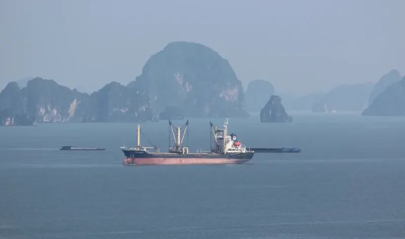 VIEN DONG 151 General Cargo IMO 9391555 photo 8
