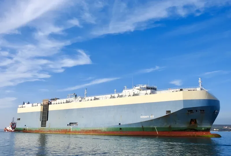 SERENITY ACE General Cargo IMO 9391579 photo 5