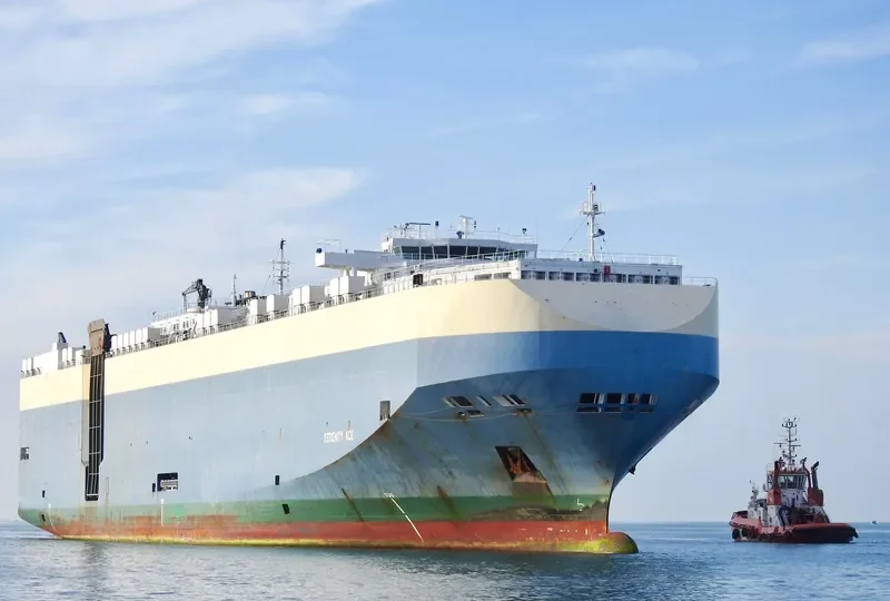 SERENITY ACE General Cargo IMO 9391579 photo 6