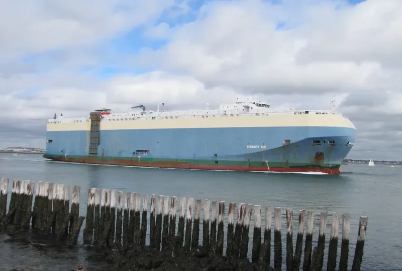 SERENITY ACE General Cargo IMO 9391579 photo 9