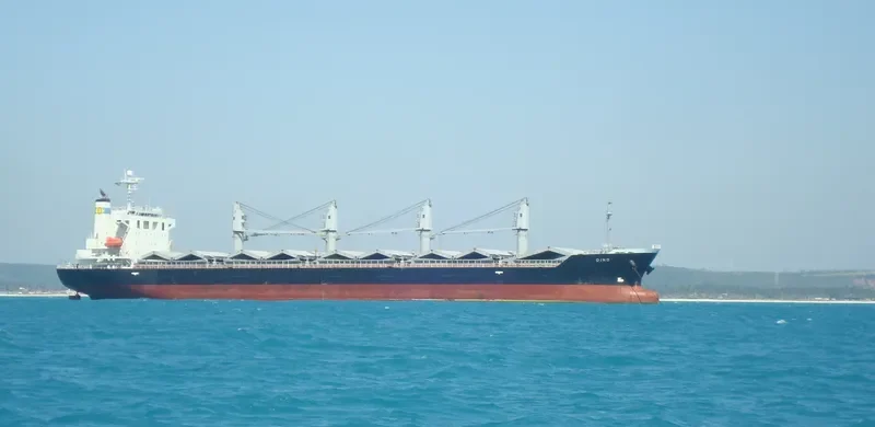 DINO Bulk Carrier IMO 9392078 photo 2