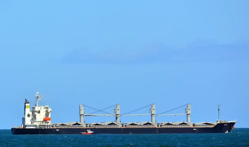 DINO Bulk Carrier IMO 9392078 photo 4