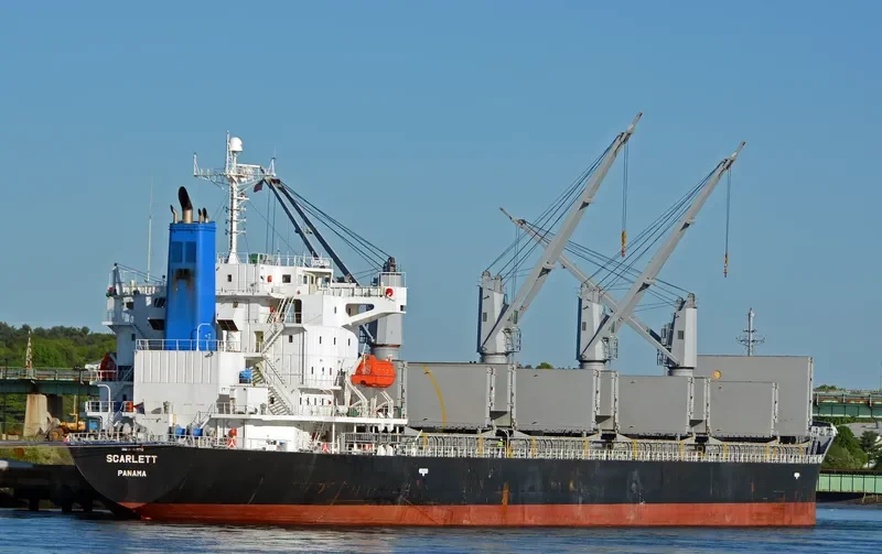 DINO Bulk Carrier IMO 9392078 photo 5