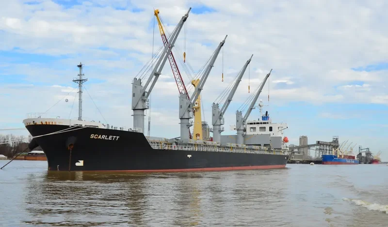 DINO Bulk Carrier IMO 9392078 photo 9