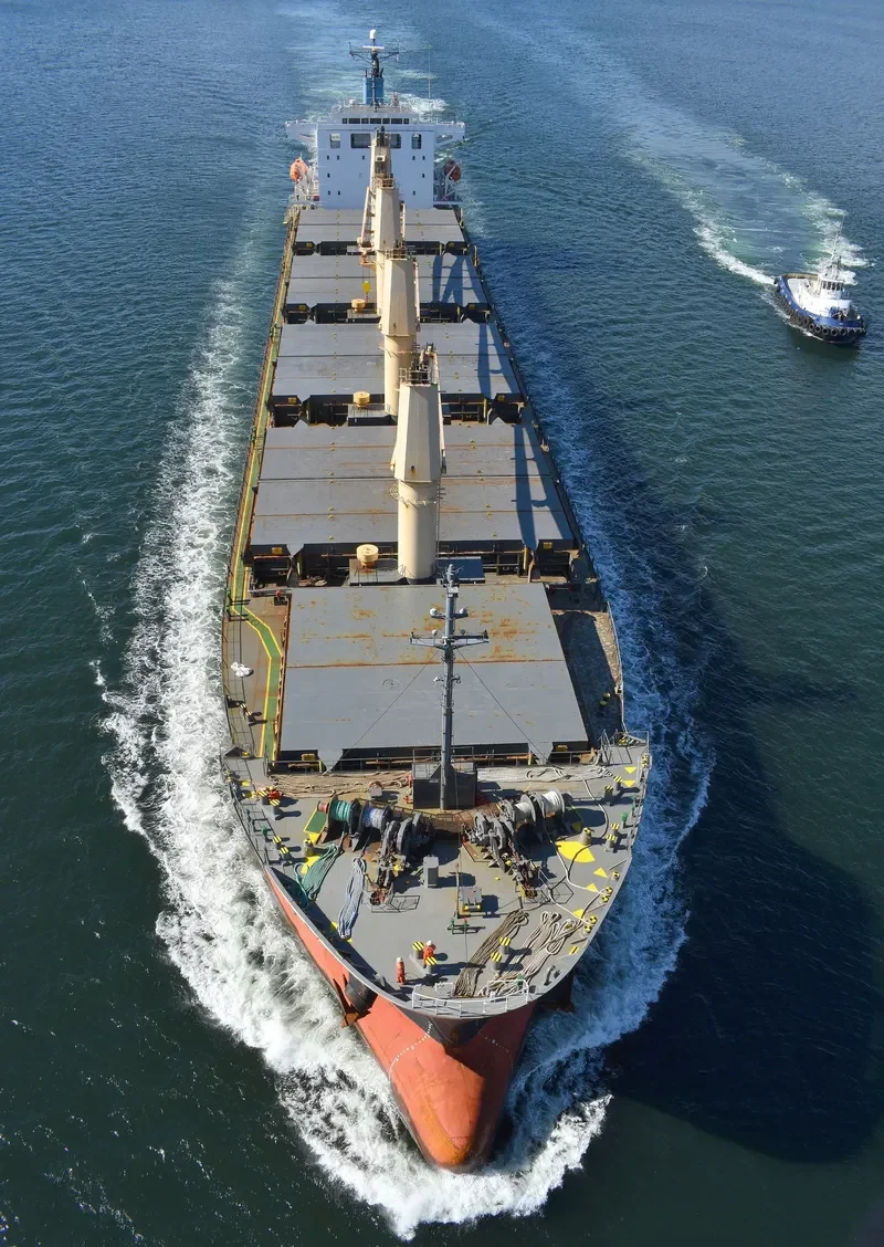 WAAL CONFIDENCE Bulk Carrier IMO 9392092 photo 2