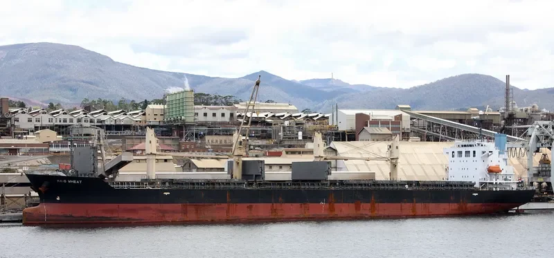 WAAL CONFIDENCE Bulk Carrier IMO 9392092 photo 4