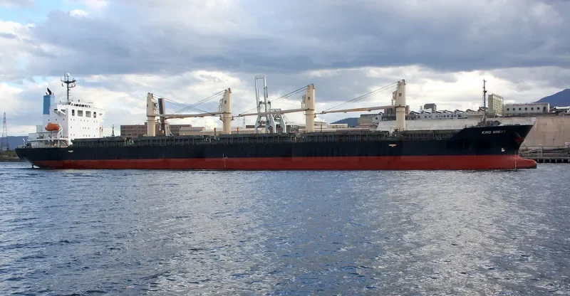 WAAL CONFIDENCE Bulk Carrier IMO 9392092 photo 5