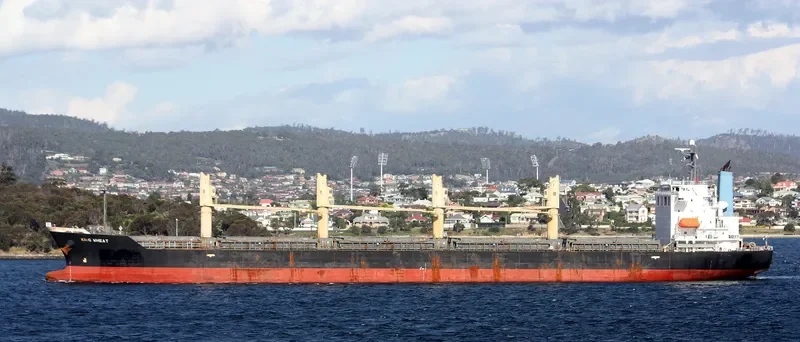 WAAL CONFIDENCE Bulk Carrier IMO 9392092 photo 6