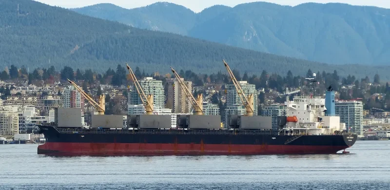 WAAL CONFIDENCE Bulk Carrier IMO 9392092 photo 7