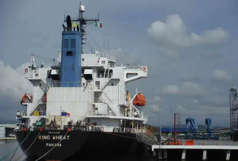 WAAL CONFIDENCE Bulk Carrier IMO 9392092 photo 9