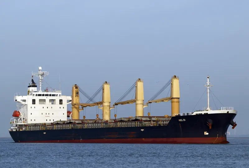 MELOI Bulk Carrier IMO 9392119
