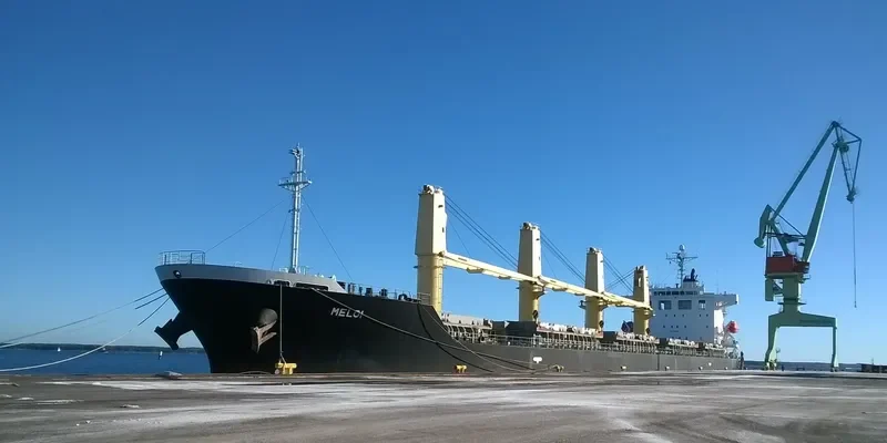 MELOI Bulk Carrier IMO 9392119 photo 3