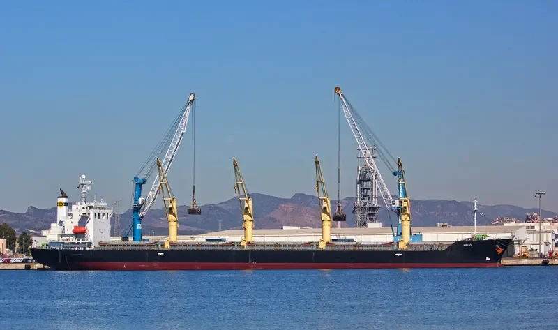 MELOI Bulk Carrier IMO 9392119 photo 4