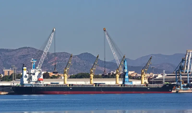 MELOI Bulk Carrier IMO 9392119 photo 5