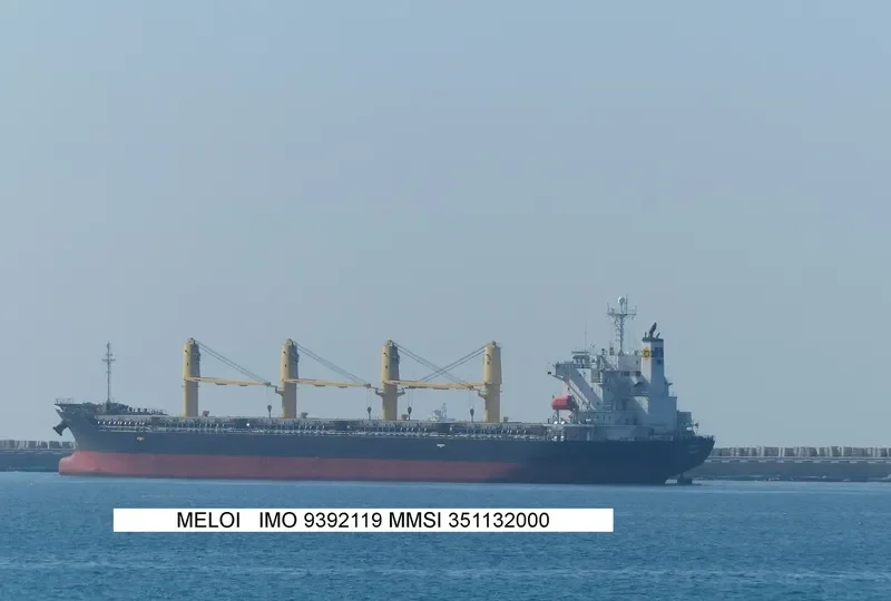 MELOI Bulk Carrier IMO 9392119 photo 6