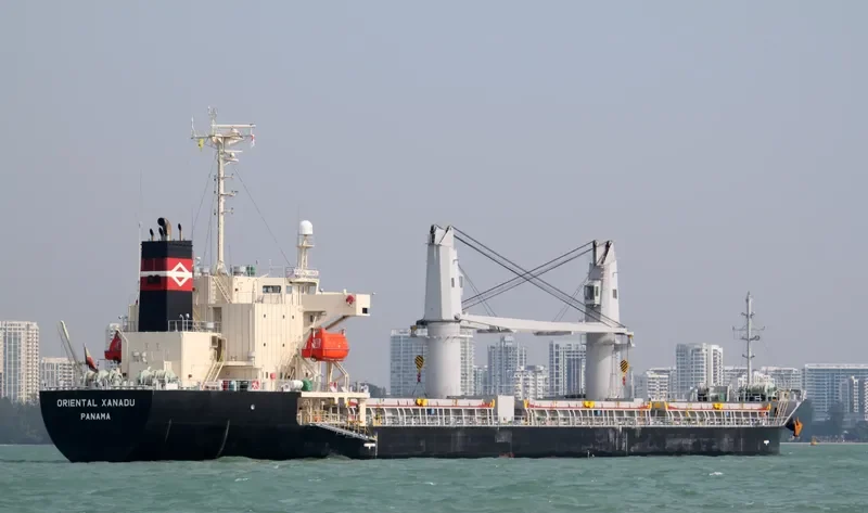 ASIAN EXPLORER Bulk Carrier IMO 9392145 photo 10