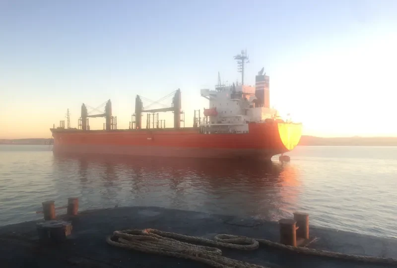 GLOBAL MERMAID Bulk Carrier IMO 9392157