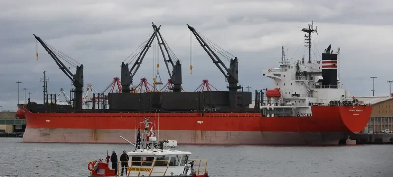 GLOBAL MERMAID Bulk Carrier IMO 9392157 photo 2