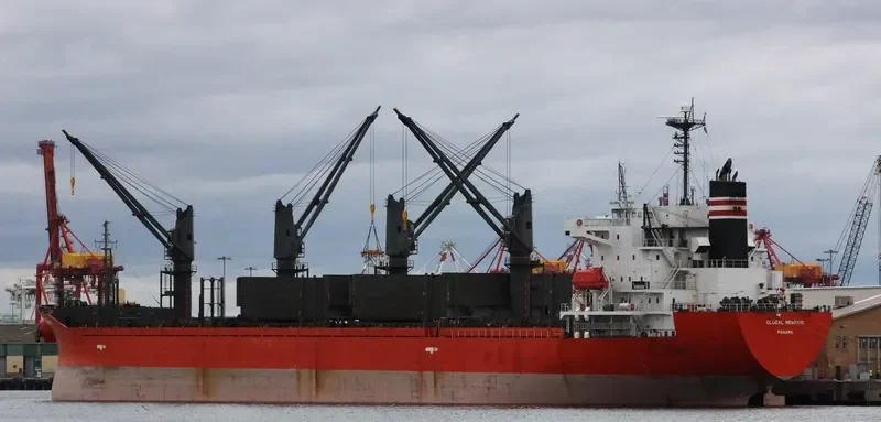 GLOBAL MERMAID Bulk Carrier IMO 9392157 photo 3