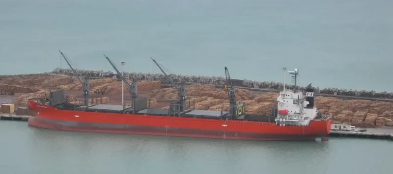 GLOBAL MERMAID Bulk Carrier IMO 9392157 photo 4