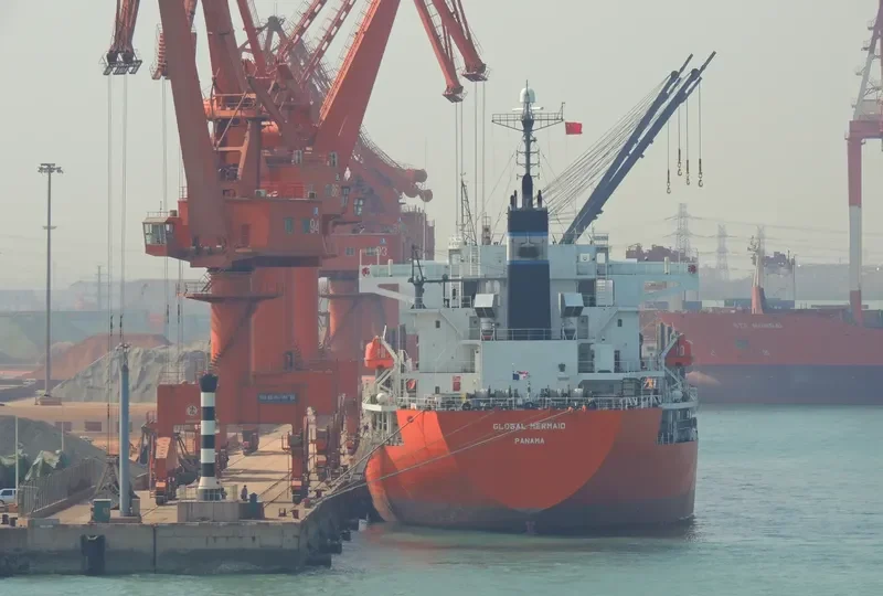 GLOBAL MERMAID Bulk Carrier IMO 9392157 photo 7