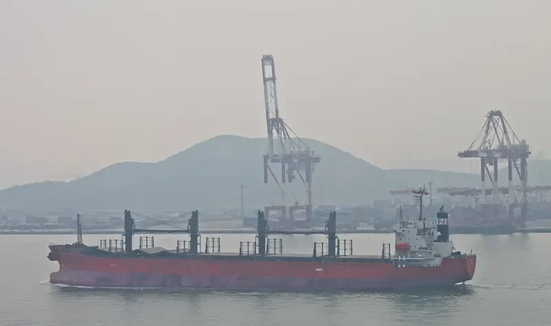 GLOBAL MERMAID Bulk Carrier IMO 9392157 photo 10