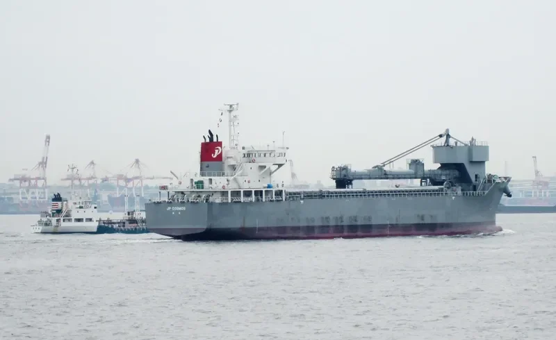 JP COSMOS Bulk Carrier IMO 9392248 photo 5
