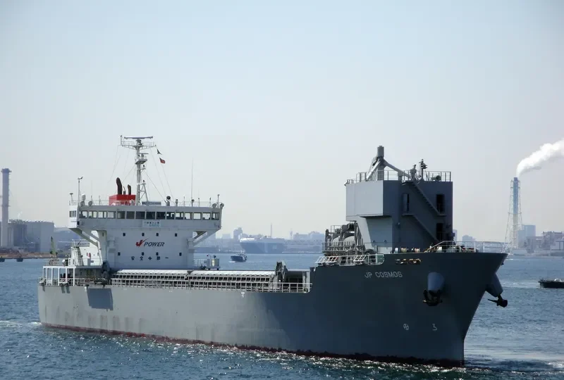 JP COSMOS Bulk Carrier IMO 9392248 photo 10