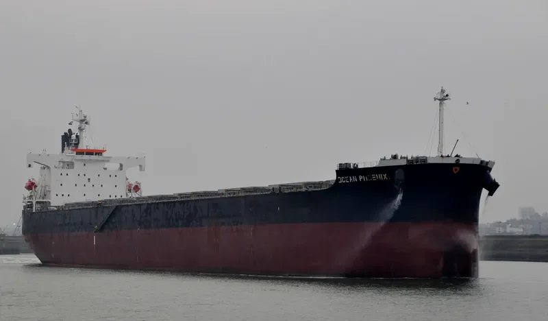OCEANIC Bulk Carrier IMO 9392444 photo 5