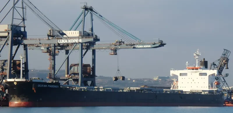 OCEANIC Bulk Carrier IMO 9392444 photo 8