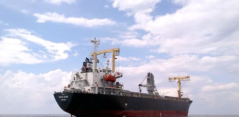 TOYO STAR General Cargo IMO 9392614