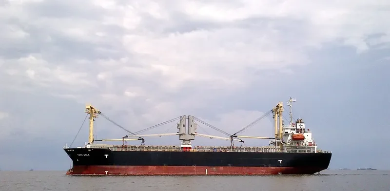 TOYO STAR General Cargo IMO 9392614 photo 3