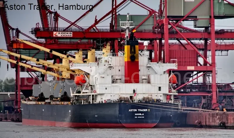 ADITYA Bulk Carrier IMO 9392729 photo 4